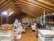 Spacious unfinished attic with exposed beams, offering ample storage or potential for renovation at 110 Streamside Dr, Sanford, NC 27330