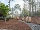 Landscaped backyard featuring mature trees, native grasses and pebble drainage at 110 Streamside Dr, Sanford, NC 27330