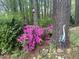 The yard is landscaped with bright pink azaleas next to mature trees at 111 Fox View Pl, Cary, NC 27511