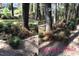 This landscaped yard features a beautiful path lined with colorful azaleas at 111 Fox View Pl, Cary, NC 27511