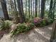 Landscaped backyard with lush greenery and flowering shrubs, perfect for relaxing in nature at 111 Fox View Pl, Cary, NC 27511