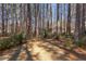 Wooded backyard for a private and tranquil feel, with mature trees providing shade and seclusion at 111 Fox View Pl, Cary, NC 27511