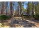 Secluded backyard featuring a stone fire pit area, bordered by lush trees for privacy at 111 Fox View Pl, Cary, NC 27511