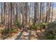 An inviting backyard featuring a fire pit surrounded by seating nestled among mature trees at 111 Fox View Pl, Cary, NC 27511