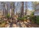 A picturesque backyard with a fire pit area, perfect for outdoor entertaining under the trees at 111 Fox View Pl, Cary, NC 27511
