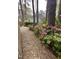 Picturesque backyard with stone pathway, garden, and lush plantings. The path leads towards the house at 111 Fox View Pl, Cary, NC 27511