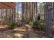 Peaceful wooded backyard with a stone pathway, offering a tranquil and private retreat at 111 Fox View Pl, Cary, NC 27511