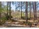 Serene backyard with mature trees and water view, featuring stone patio seating and walkways at 111 Fox View Pl, Cary, NC 27511