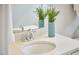 Close-up of a stylish bathroom vanity featuring a modern faucet and a decorative green plant at 1112 Addington Lake Ln, Knightdale, NC 27545