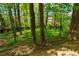 Lush backyard with mature trees and a wooded area, providing privacy and a natural setting at 113 Glenmore Rd, Chapel Hill, NC 27516