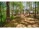 Secluded backyard area featuring mature trees, a wooded area, and natural landscaping elements at 113 Glenmore Rd, Chapel Hill, NC 27516