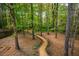 Scenic backyard with mature trees, a winding path, and a tranquil wooded area at 113 Glenmore Rd, Chapel Hill, NC 27516