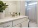 A bright bathroom with a large mirror and a plant on the counter at 113 Tower Ridge Ln, Sanford, NC 27330