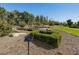 Lush backyard with unique landscaping, featuring mature trees and interesting garden elements at 173 Hawk Point Rd, Chapel Hill, NC 27516