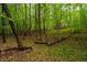 A view of the natural backyard, dotted with tall mature trees, leading up to the house at 18 Green Ridge Ln, Pittsboro, NC 27312