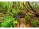 Creek in a backyard with greenery, plants, trees, and rocks create a serene and natural setting at 18 Green Ridge Ln, Pittsboro, NC 27312