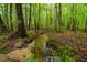 A tranquil creek flows through the lush backyard, providing a serene and natural setting at 18 Green Ridge Ln, Pittsboro, NC 27312