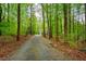 Long gravel driveway winding through mature trees to a charming house at 18 Green Ridge Ln, Pittsboro, NC 27312