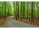 Gravel driveway leading to a home surrounded by lush, mature trees at 18 Green Ridge Ln, Pittsboro, NC 27312