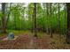 Secluded backyard landscaping with lush trees and natural forest floor at 18 Green Ridge Ln, Pittsboro, NC 27312