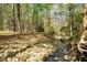 Tranquil creek flowing through a lush forest with a house in the distance at 3508 Cole Mill Rd, Durham, NC 27712