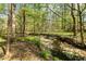 Scenic creek flowing through a wooded area at 3508 Cole Mill Rd, Durham, NC 27712