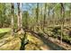 Green chair alongside a stream amidst a lush, serene, wooded landscape at 3508 Cole Mill Rd, Durham, NC 27712