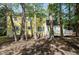 View of backyard featuring yellow house with white trim, deck, and shady wooded area at 3900 Inkberry Ct, Apex, NC 27539