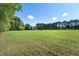 Scenic view of the expansive grassy field with mature trees and a clear blue sky at 3900 Inkberry Ct, Apex, NC 27539