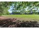 Beautiful view of the expansive green property with mature trees and a distant house at 3900 Inkberry Ct, Apex, NC 27539
