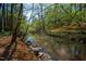 Picturesque creek view with natural rock formations, offering a serene and inviting outdoor experience at 518 Morgan Creek Rd, Chapel Hill, NC 27517