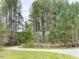 The winding driveway with lush green forest surrounding, creates a tranquil entry, enhancing privacy and natural beauty at 7825 Green Hope School Rd, Cary, NC 27519