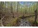 Backyard with a serene creek running through it, surrounded by lush trees and foliage at 922 Royal Oaks Dr, Durham, NC 27712