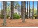 Lush backyard showcasing mature trees and the back exterior of a light-colored home at 1537 Heritage Club Ave, Wake Forest, NC 27587