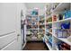 Organized walk-in pantry with extensive shelving for ample storage at 190 Bingham Creek Dr, Garner, NC 27529