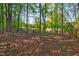 Serene backyard surrounded by mature trees provides a peaceful outdoor retreat at 201 Dunhagan Pl, Cary, NC 27511