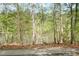 Natural backyard scenery with mature trees and a glimpse of the water at 22 Lure Ct, Durham, NC 27713