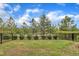 Lush backyard featuring a black fence, green grass, and mature trees at 318 Acorn Hollow Pl, Durham, NC 27703