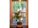 Window with hanging lights and a potted plant on the ledge at 425 Summit Trail Dr, Hillsborough, NC 27278