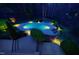 Overhead view of a backyard pool with stone patio, surrounding trees, and lounge chairs at 10001 Sandcreek Ct, Chapel Hill, NC 27517