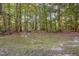 A view of a wooded backyard with trees and grass at 117 Gallent Hedge Trl, Apex, NC 27539