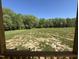 Backyard view from the porch, featuring a spacious lawn with mature trees at 14 Cricket Hill Way, Benson, NC 27504