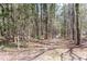 Wooded land featuring a pathway and chain-link fence, offering privacy and a natural setting at 1556 Pleasants Rd, Wendell, NC 27591