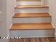 View of the staircase with wood steps and white painted trim at 1705 Lord Ashley Dr, Sanford, NC 27330