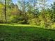 Expansive backyard featuring lush greenery and mature trees at 203 W Pilot St, Durham, NC 27707