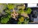 Aerial view of an exquisite garden with lush greenery, a geometric brick path, and mature trees at 315 Oakwood Ave, Raleigh, NC 27601