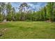 Expansive backyard featuring a lush green lawn and mature trees at 7110 Hunter Hill Rd, Rocky Mount, NC 27804