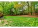 Lush backyard featuring mature trees, green grass, and a wooden fence, creating a serene and private outdoor setting at 7409 Fiesta Way, Raleigh, NC 27615
