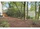 Spacious backyard showing mature trees and plantings at 102 Parkbranch Ln, Cary, NC 27519