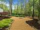 Beautiful backyard fire pit surrounded by landscaping and wooded area at 105 Toynbee Pl, Chapel Hill, NC 27514